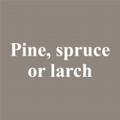 pine, spruce or larch
